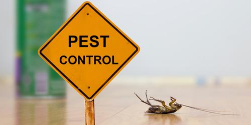 Winter Pest Control Tips