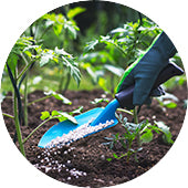 Plant Food & Fertilizers
