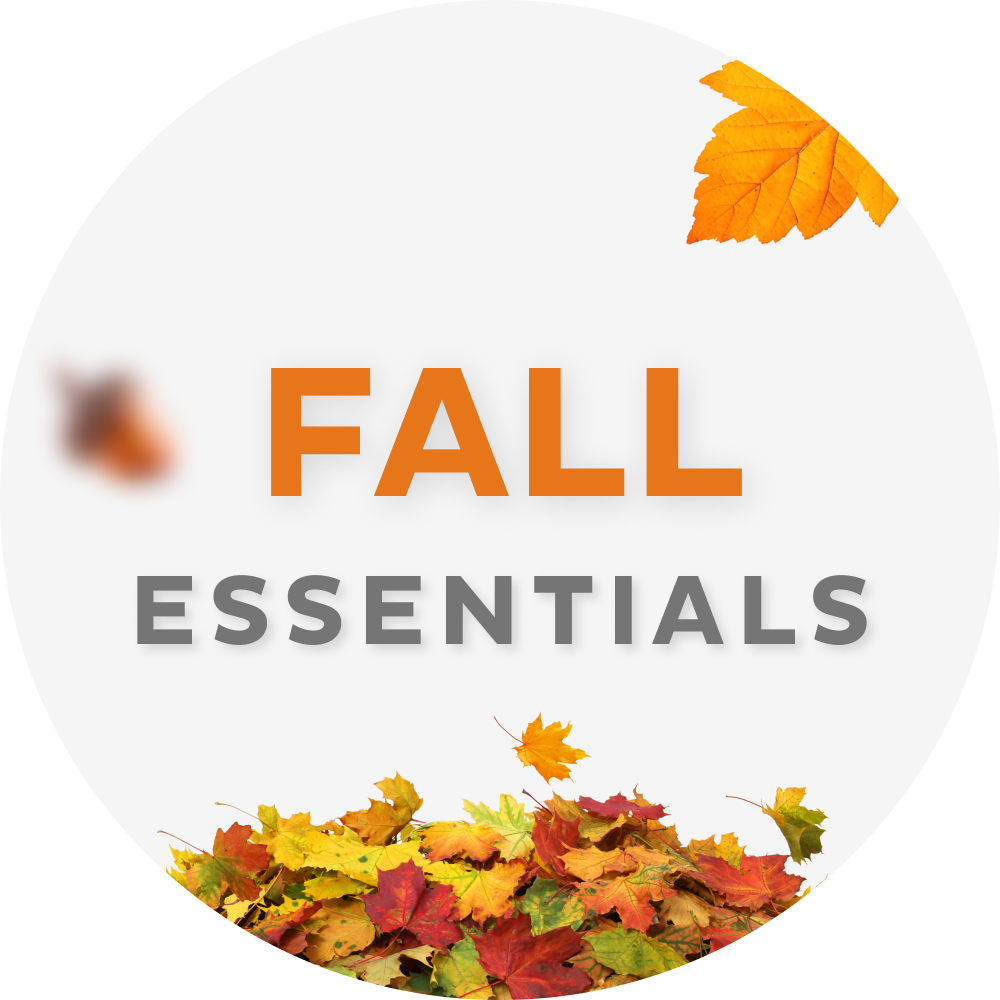 /pages/fall