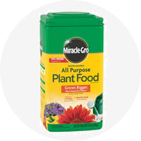 Plant Food & Fertilizers