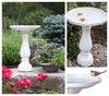Bloem Llc 270-10 17" D X 17" W X 25" H White Bird Bath Promo (Pack of 6)
