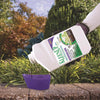 Bonide KleenUP HE 10500 sq. ft. Coverage Area Concentrate Killer 32 oz. for Driveway & Patio