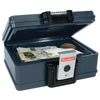 First Alert 0.17 cu ft Key Lock Gray Fireproof Safe - Deal of The Week