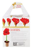 Degroot Gift Box Bulb Kit (Pack of 12)