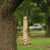 Perky-Pet Wild Bird and Finch 1.8 lb Copper 2-in-1 Bird Feeder 4 ports (Pack of 2)