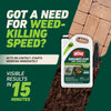 Ortho GroundClear Weed and Grass Killer RTU Liquid 1 gal.