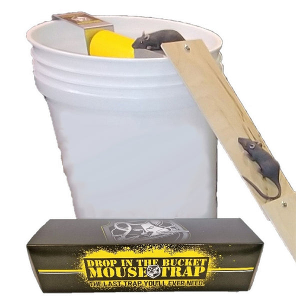 Bucket Mouse Traps