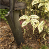 DRAIN SPADE D-HANDL 24"