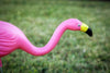 Bloem Mingo Pink Plastic/Resin 20.4 in. H Flamingo Outdoor Decoration