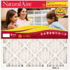 NaturalAire 16 in. W x 25 in. H x 1 in. D Synthetic 10 MERV Pleated Microparticle Air Filter (Pack of 6)