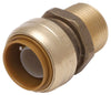 SharkBite 3/4 in. Push X 3/4 in. D MPT Brass Connector