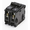 Interchangeable 60 amps Standard 2-Pole Circuit Breaker