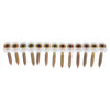 Senco No. 8 X 2 in. L Rex Yellow Zinc Twin Thread Wood Screws 1000 pk