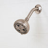 Waxman Consumer Group 8264202 4.25 Brushed Nickel Spamassage 6-Spray Fixed Shower Head