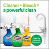 Clorox Clean-Up Fresh Scent Cleaner with Bleach 32 oz (Pack of 9)