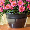 Gardener's Blue Ribbon 10 in. W Plastic Plant Liner Clear (Pack of 25)