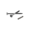 FastenMaster LedgerLok No. 14 X 3-5/8 in. L Star Epoxy Wood Screws 250 pk