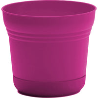 Bloem Saturn Planter 5 in. Dia. Plastic Flower Pot Fuchsia