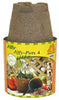 Jiffy 1 Cells 4 in. H X 4 in. W Seed Starting Peat Pot 6 pk
