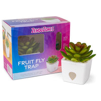 JT Eaton ZendoZones Fruit Fly Trap 1 box (Pack of 6)