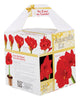 Degroot Gift Box Bulb Kit (Pack of 12)