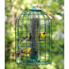 Audubon Wild Bird 1.25 lb Plastic/Wire Caged Tube Bird Feeder 4 ports - Deal of The Week
