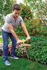 Ross 1200C Root Feeder for Watering and Fertilizing Outdoor Trees - Open Box