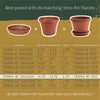 Bloem TerraTray 2.7 in. H X 16 in. D Resin Plant Saucer Terracotta Clay