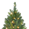 Celebrations 2 ft. Full Incandescent 35 ct Table Tree (Pack of 4)