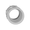 Charlotte Pipe Schedule 40 1 in. Slip x 1 in. Dia. FPT PVC Pipe Adapter (Pack of 25)