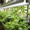 Feit Electric Clamp LED Grow Kit 8 in.