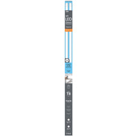 Feit T8 DayLight 48 in. Bi-pin Base Linear Lamp LED 32 Watt Equivalence 2 pk (Pack of 10)