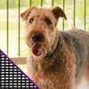 Saint-Gobain ADFORS Pet Resistant 48 in. W X 7 ft. L Charcoal Polyester Pet Screen Cloth