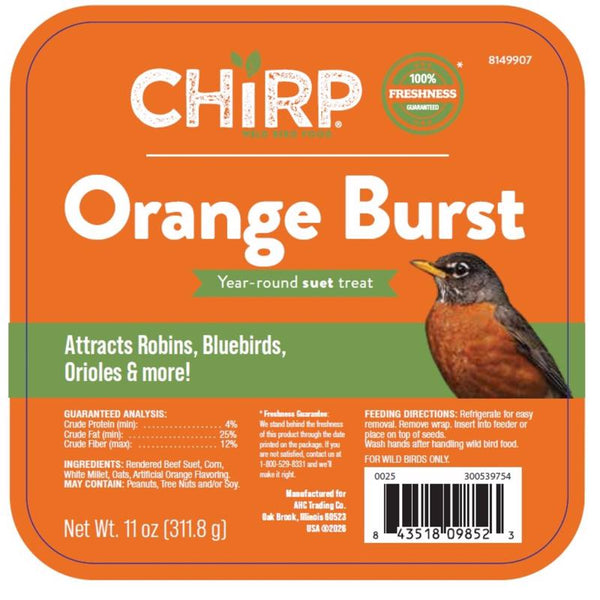 Chirp Orange Burst Suet Orange Suet 11 oz (Pack of 12)