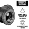 STZ Industries 1-1/4 in. FIP each X 1 in. D FIP Black Malleable Iron Reducing Coupling