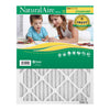 AAF Flanders NaturalAire 25 in. W x 32 in. H x 1 in. D Pleated 8 MERV Pleated Air Filter (Pack of 12)
