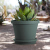 Bloem Terra 2 in. H X 11.25 in. W X 9.5 in. D Plastic Traditional Plant Saucer Green - Deal of The Week