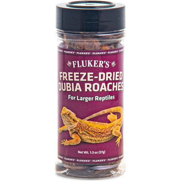 Freeze Dried Dubia Roaches