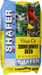 Generic Black Oil Sunflower Seed