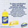Fabuloso Citrus Scent All Purpose Cleaner Liquid 16.9 oz (Pack of 24)