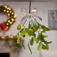 Gerson Mistletoe Branch with Warm White LED Lights Hanger 12 in. (Pack of 24)