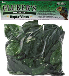 Repta Vine Pothos
