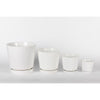 Border Concepts 8 in. D Ceramic Flair Saucer Planter White (Pack of 4)