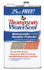 Thompson's WaterSeal Waterproofer Plus Masonry Protector Clear Sealer 1.2 gal.