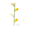 Safer Brand Houseplant Sticky Stakes 7 pk