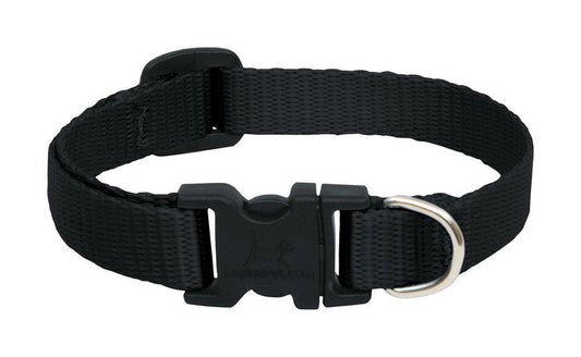 Lupine Pet Basic Solids Black Black Nylon Dog Collar