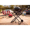 Weber Q1200 Gas Grill Black 1 Burner 8500 BTU Liquid Propane 189 sq in Cooking Area