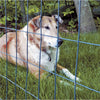 Garden Craft 36 in. H X 50 ft. L Steel Welded Wire Fence 2x3 in.