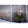 Second Nature Natural Birch Pole Indoor Christmas Decor 32 in. (Pack of 20)