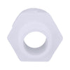 Charlotte Pipe Schedule 40 3/4 in. MPT x 1 in. Dia. Slip PVC Pipe Adapter (Pack of 25)
